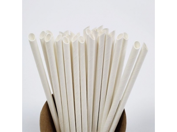 Pointed Paper Straws