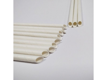 Pointed Paper Straws