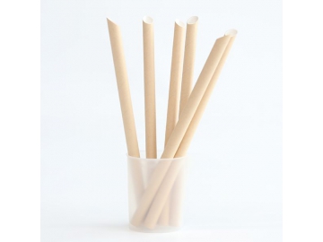 Pointed Paper Straws