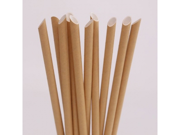 Pointed Paper Straws