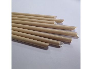 Pointed Paper Straws