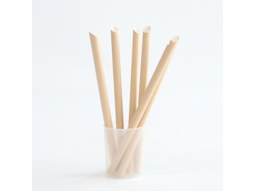 Pointed Paper Straws