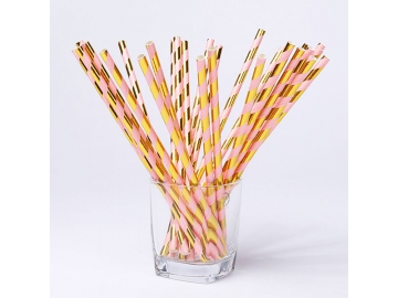 Straight Paper Straws