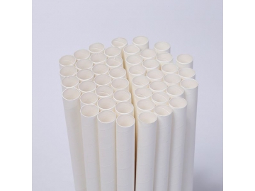 Straight Paper Straws