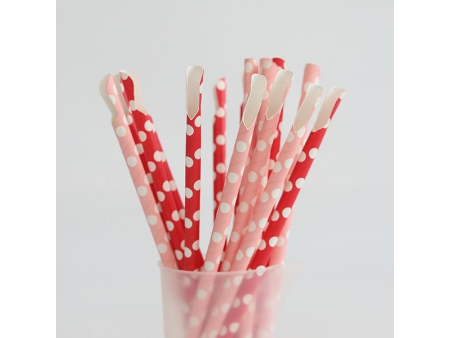 Paper Spoon Straws