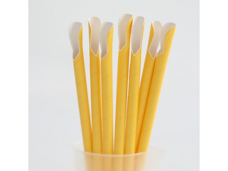 Paper Spoon Straws
