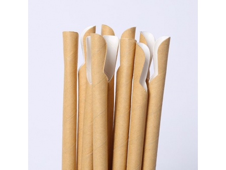 Paper Spoon Straws