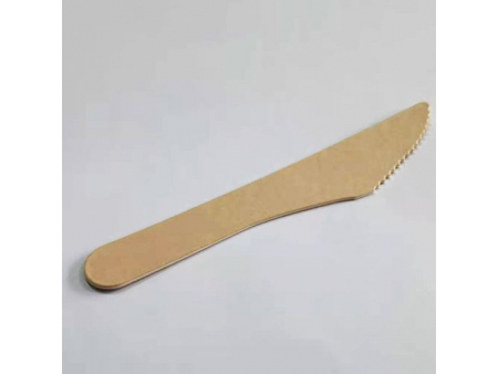 Disposable Paper Knives