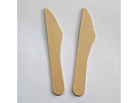 Disposable Paper Knives