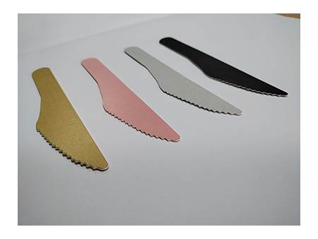 Paper Cutlery Sets