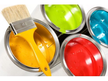 Sodium Carboxymethyl Cellulose (CMC) for Paint