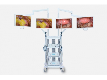 Medical Endoscope Camera System with Dual Simultaneous Image Outputs, INP-500