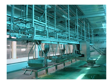 Skin Conveyor System