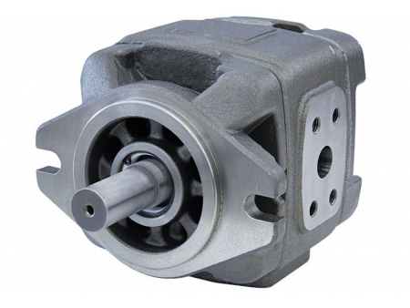 Internal Gear Pump