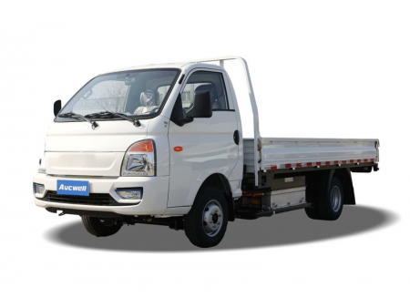 Electric Light Duty Truck