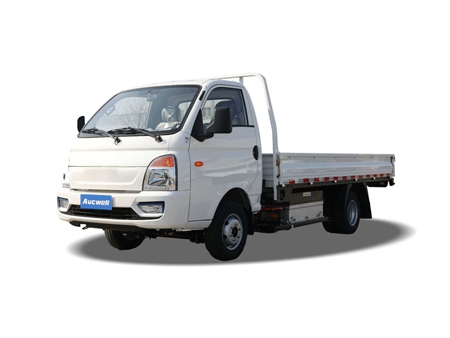 Electric Light Duty Truck