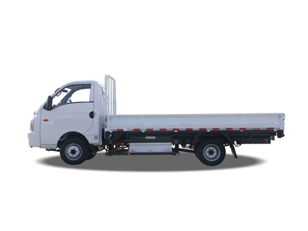 Electric Light Duty Truck