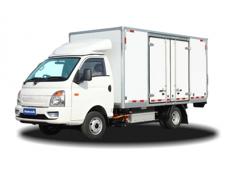 Electric Light Duty Truck