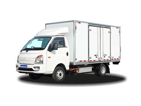 Electric Light Duty Truck