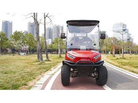 Electric Golf Cart