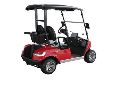 Electric Golf Cart
