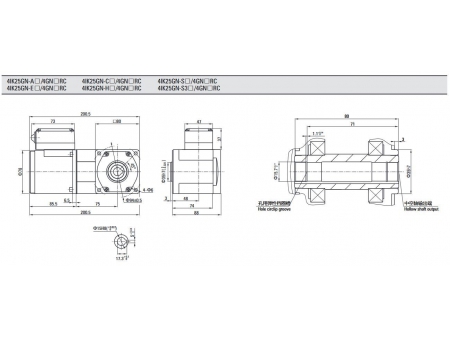 80mm 25W   Induction Motor