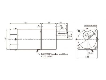 90mm 60W  Induction Motor