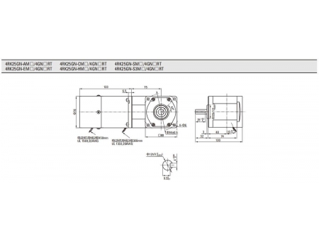 80mm 25W  Brake Motor