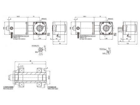 80mm 25W  Brush DC Gear Motor