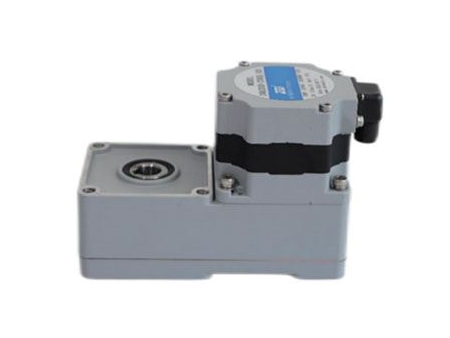 SL Series Brushless DC Parallel Shaft Gearmotor