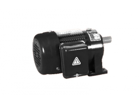 Small AC Gear Motor, Single Phase