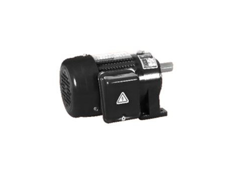 Small AC Gear Motor, Single Phase