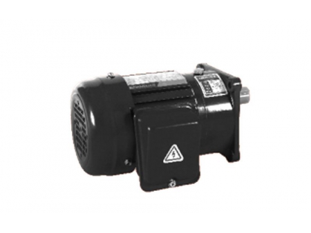 Small AC Gear Motor, Single Phase