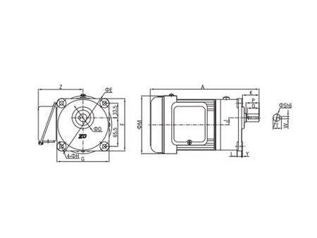 Small AC Gear Motor, Single Phase