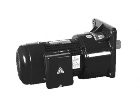 Small AC Gear Motor, Single Phase