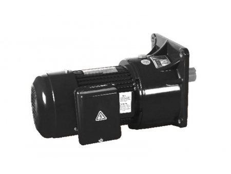 Small AC Gear Motor, Single Phase