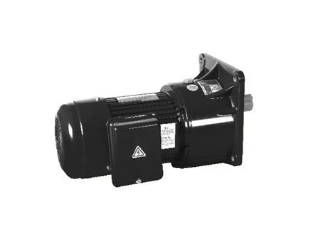 Small AC Gear Motor, Single Phase