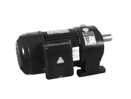 Small AC Gear Motor, Single Phase