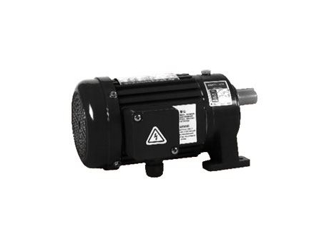 Small AC Gear Motor, Three Phase