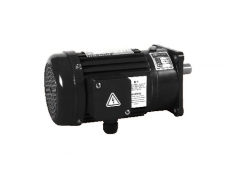 Small AC Gear Motor, Three Phase