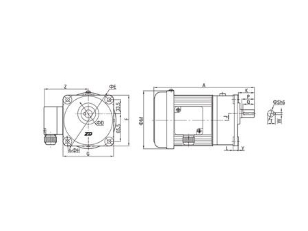 Small AC Gear Motor, Three Phase