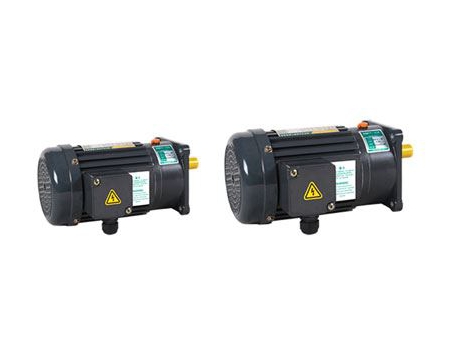 Small AC Gear Motor, Three Phase