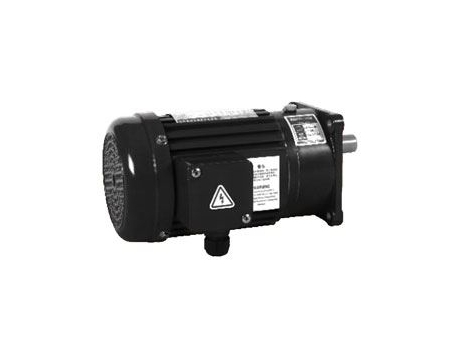 Small AC Gear Motor, Three Phase