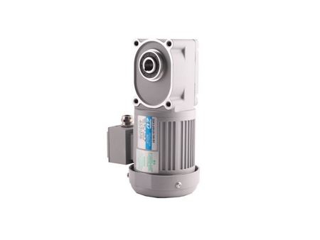 100W   F2/F3 Hypoid Gear Motor