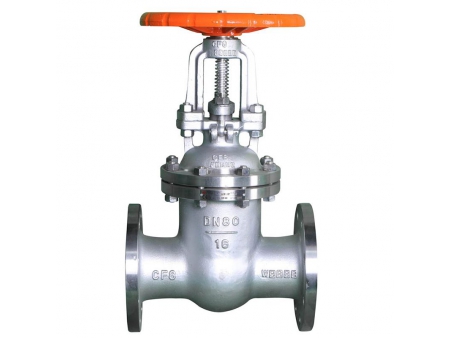 Rising Stem Gate Valve