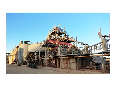 Gold CIP/CIL plant