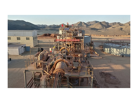 Gold CIP/CIL plant