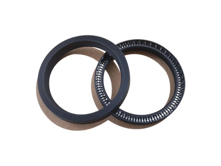 Cantilever Spring Energized Seal