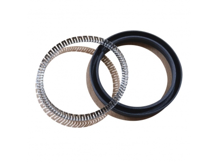 Cantilever Spring Energized Seal