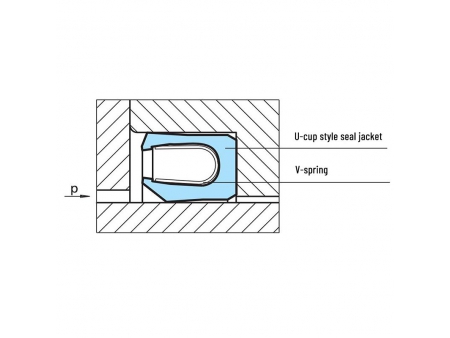 Cantilever Spring Energized Seal